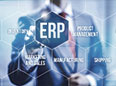 Mini-ERP Solutions