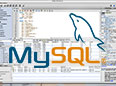 My SQL